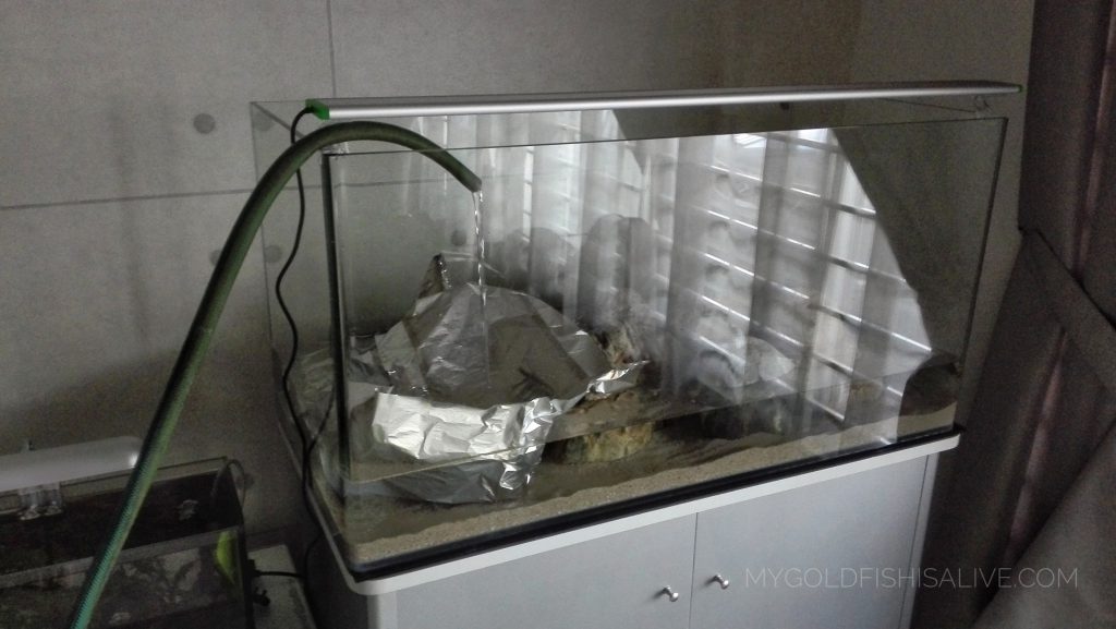 Goldfish Tank Set up - Filling Water