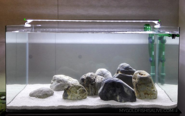 Setting Up A Goldfish Tank (Part 2) – Putting together the fish tank ...