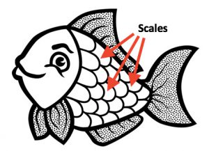 What is a Calico Goldfish? – Hint: It is all about the scales – My ...
